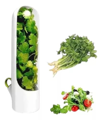 Recipiente Para Conservar Hierbas Fresca